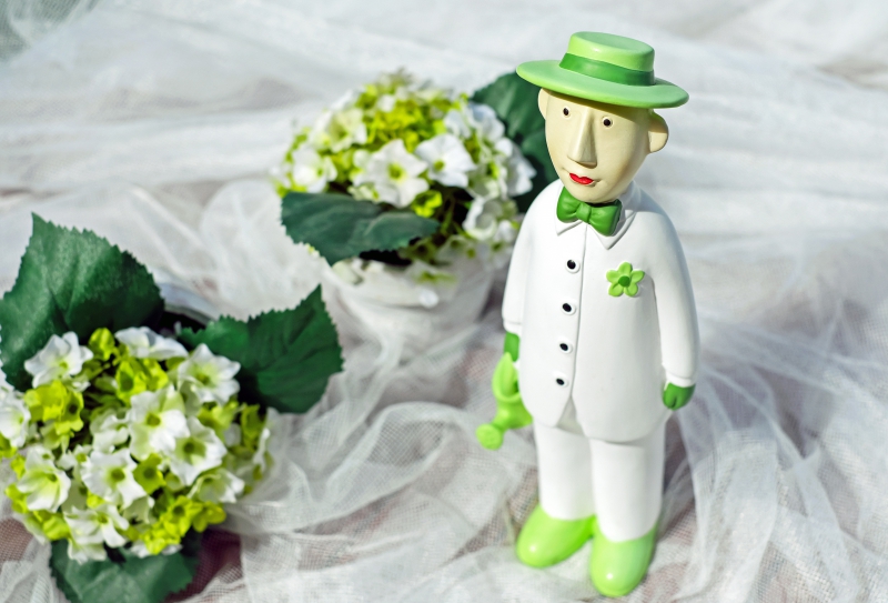 vitrine-LA ROCHETTE-min_man-person-flower-green-toy-fig-546529-pxhere.com